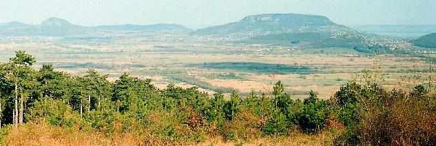 Kilátás a Tapolcai-medencére a Kísérleti-erdő felső tisztásáról.Balról:Tóti-hegy, Gulács, Őrsi-hegy, Badacsony és Szigliget